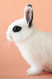 《消逝的光芒2》大获成功 Techland市值超过CDPR